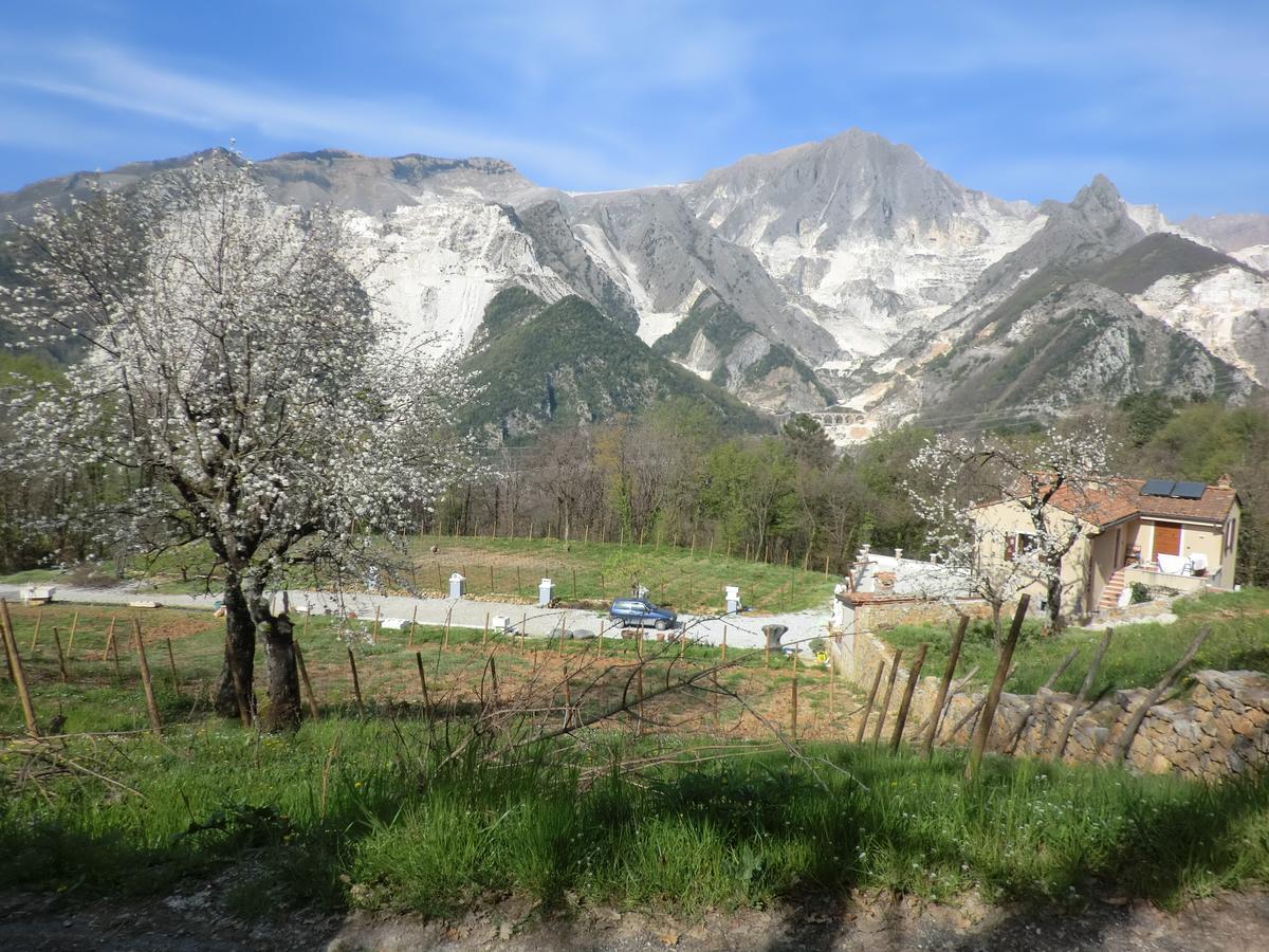 Galleria Ars Apua Panzió Carrara Kültér fotó